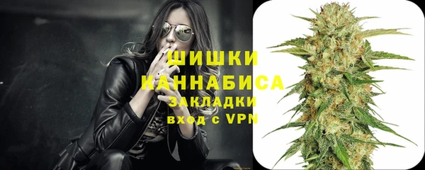 ПСИЛОЦИБИНОВЫЕ ГРИБЫ Алексеевка