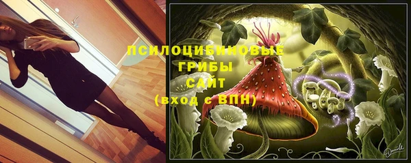 Альфа ПВП Абаза