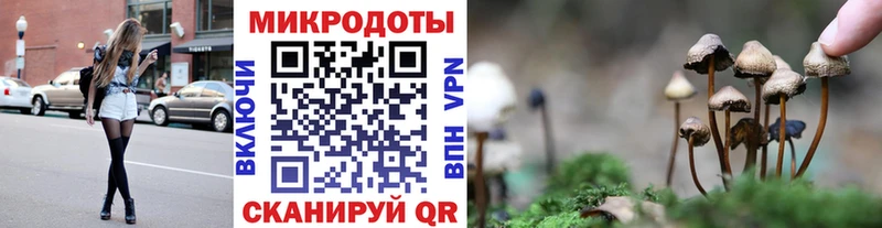 Галлюциногенные грибы Psilocybine cubensis  OMG tor  Питкяранта 